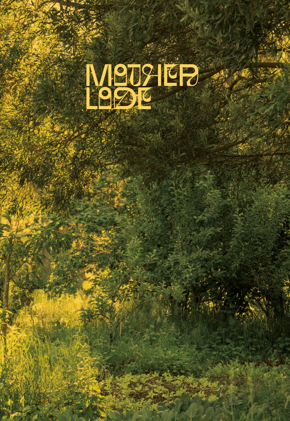 mother-lode-cover-sample